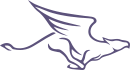 Gargola Networks